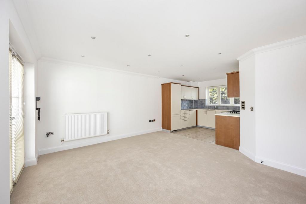 Living Room ( Kitchen/ living open plan )