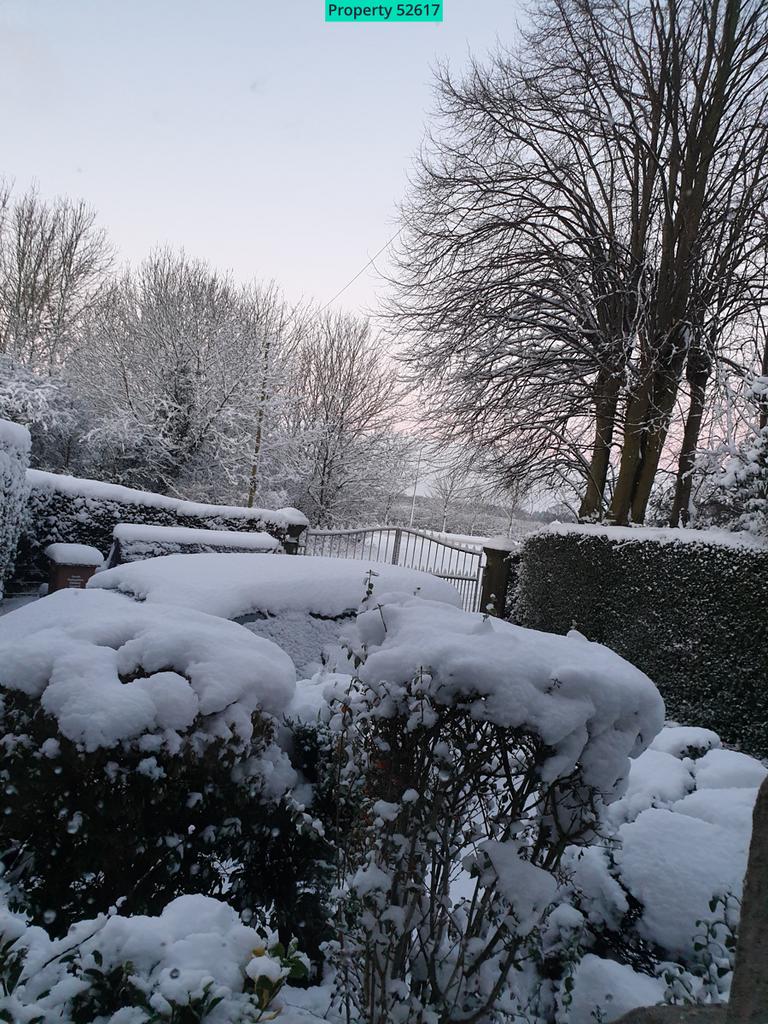 Winter View from Lounge