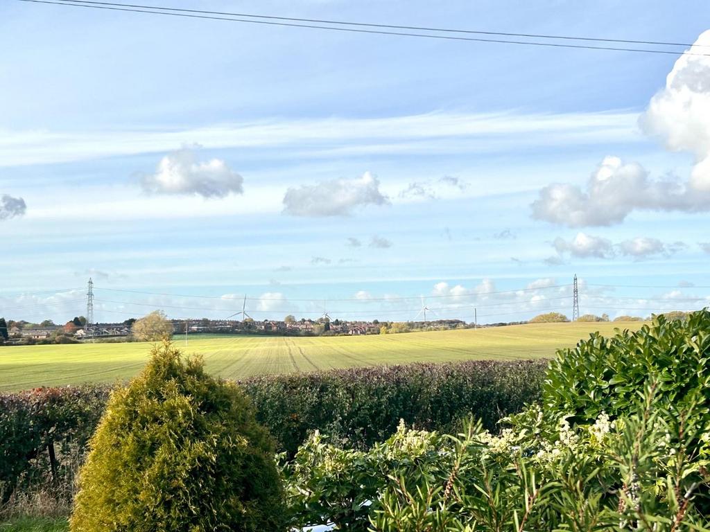 Field views.JPG