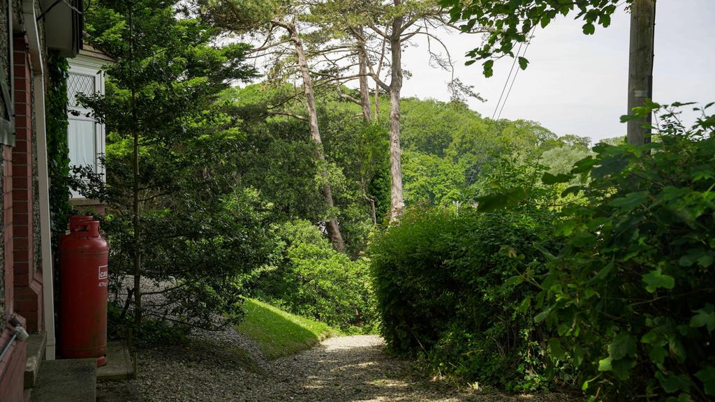 The Grounds