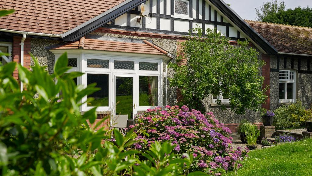 The Grounds