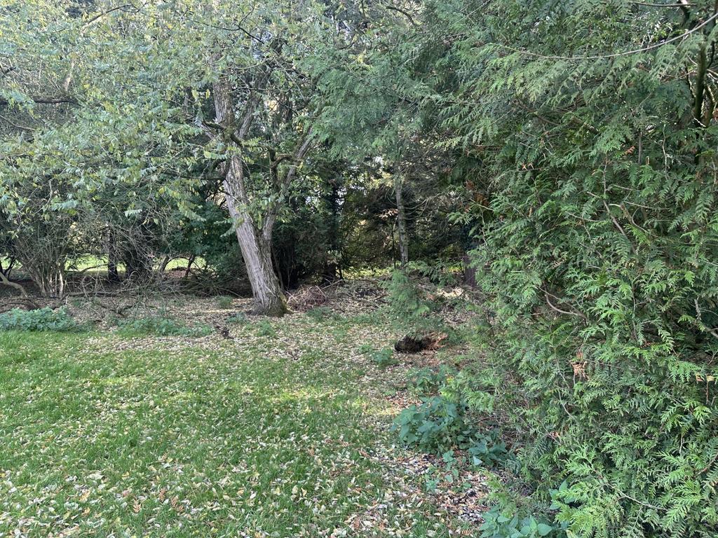 IMG 1748 T202510281537.jpg