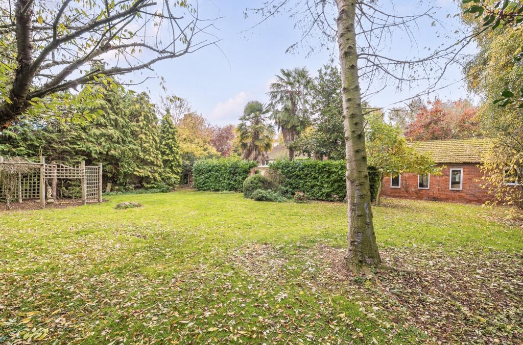 1372374-15-68ffb10ca912d