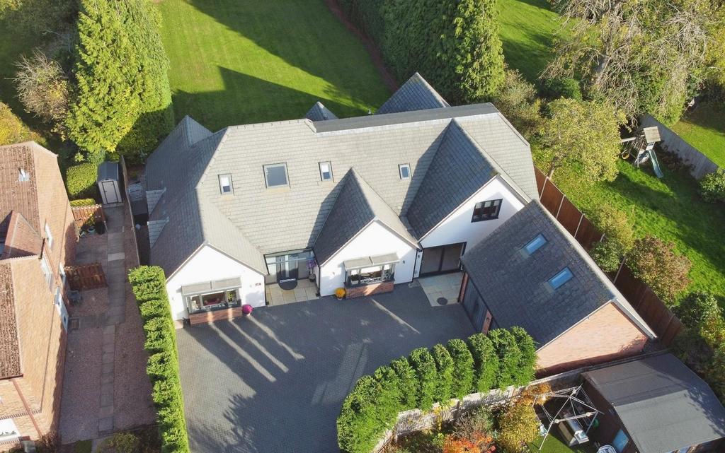 Dji 0879.jpg