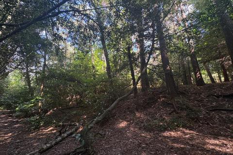 undefined, Burnt Hill Road, Farnham GU10