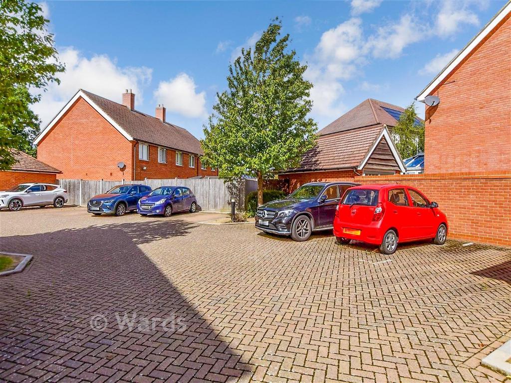Driveway/Parking