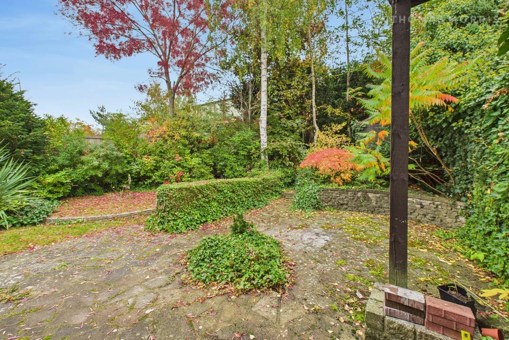 Picture No. 49