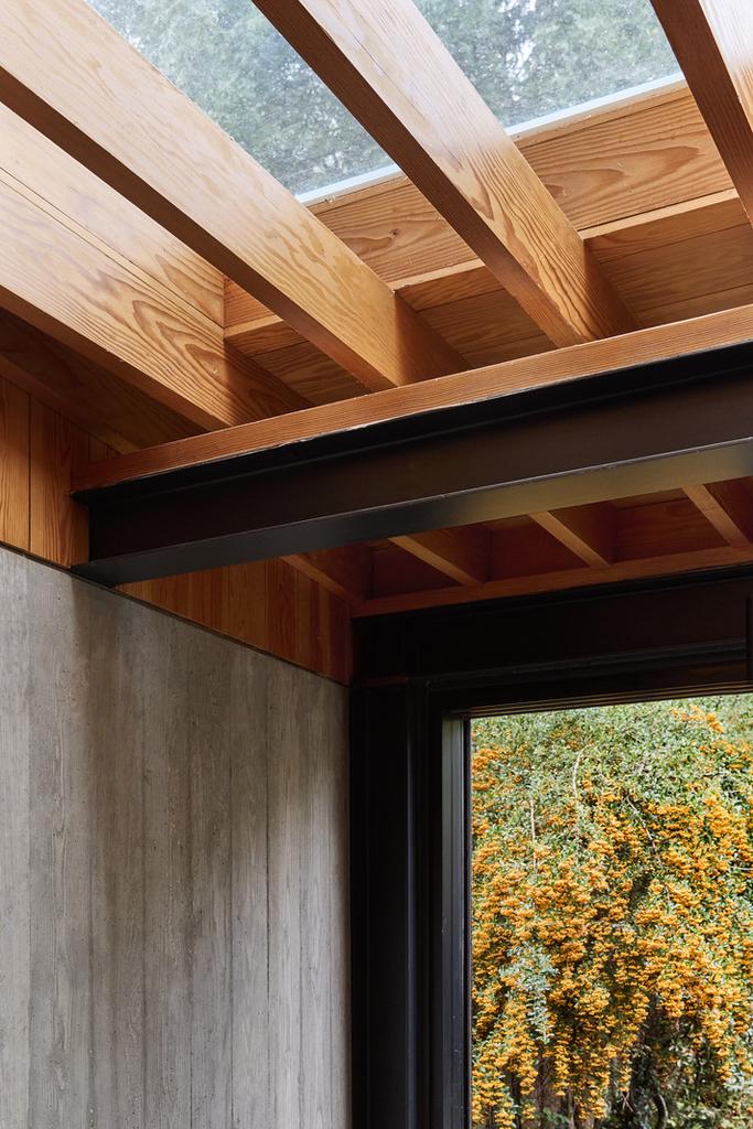 317078 - DANG8598.jpg