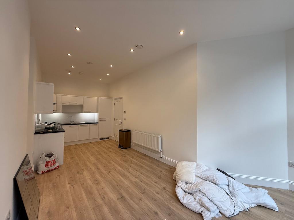 Kitchen/Living Area