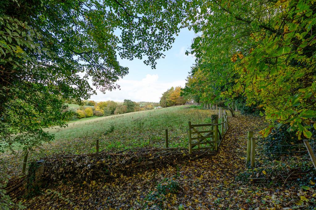 The Old Cornmill-57