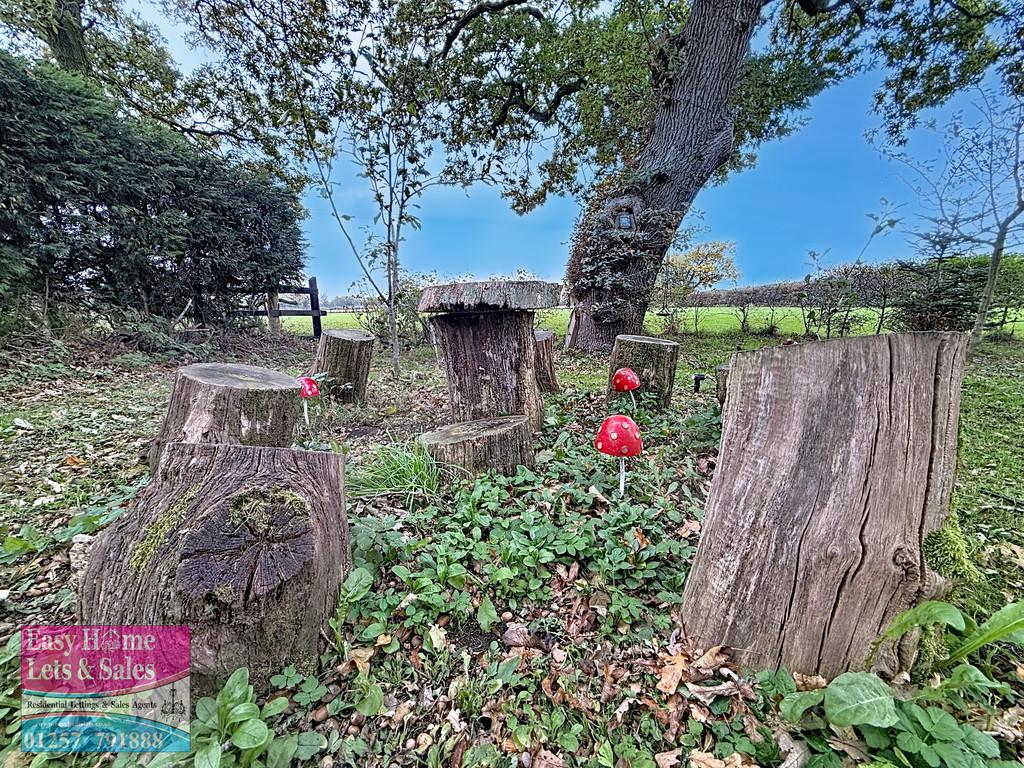 Fairy Garden