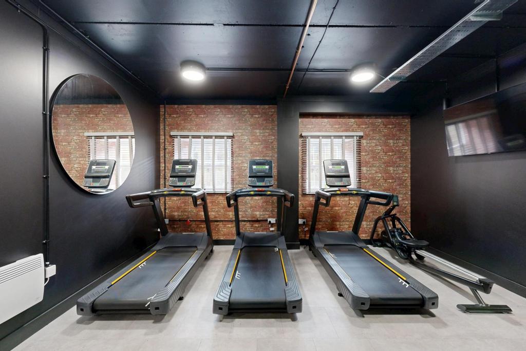 Modern private gym with three treadmills, a row...