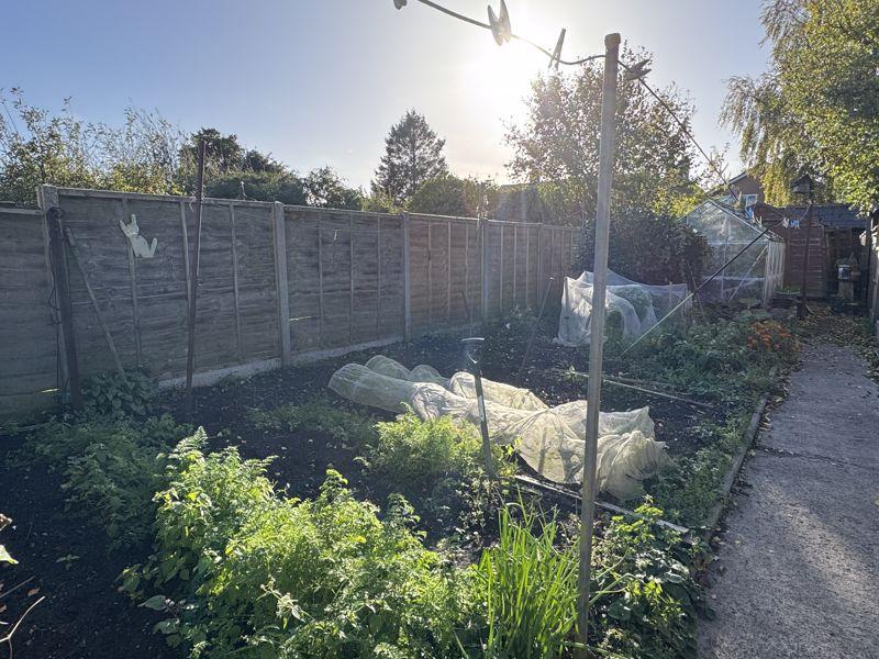 Vegtable patch