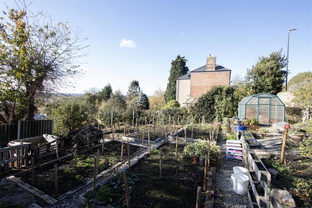Garden 3.jpg