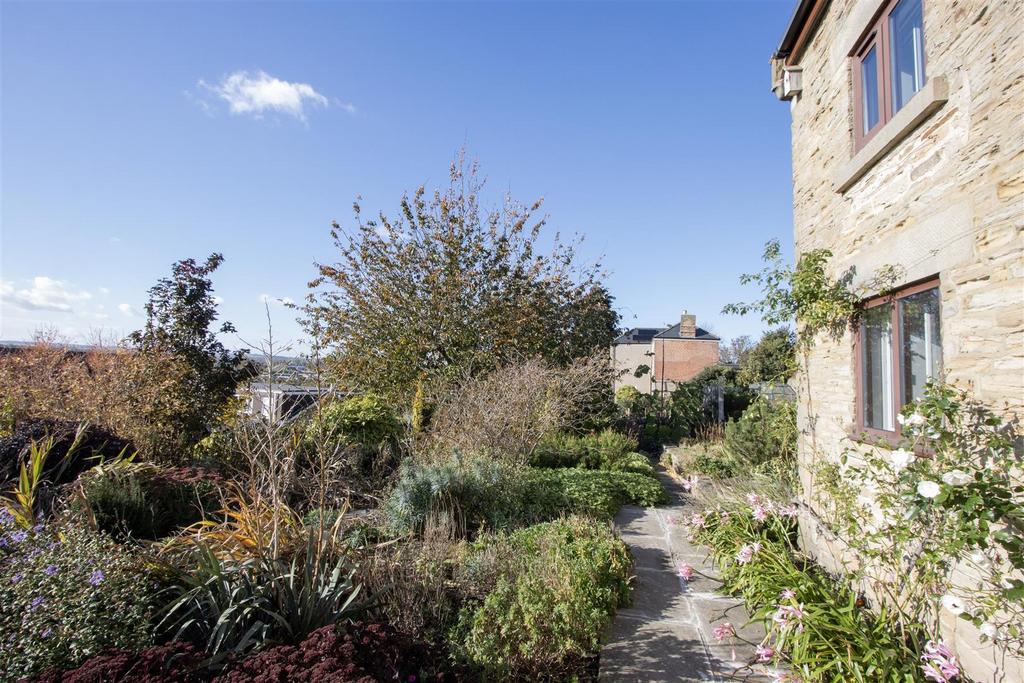 Garden 4.jpg