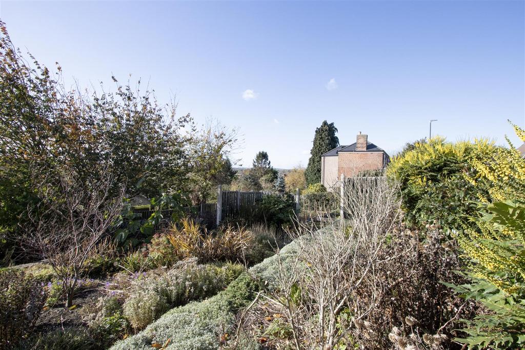 Garden 2.jpg