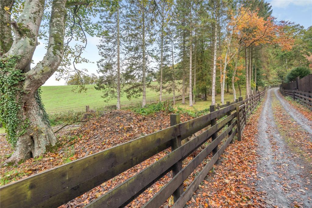 Woodland