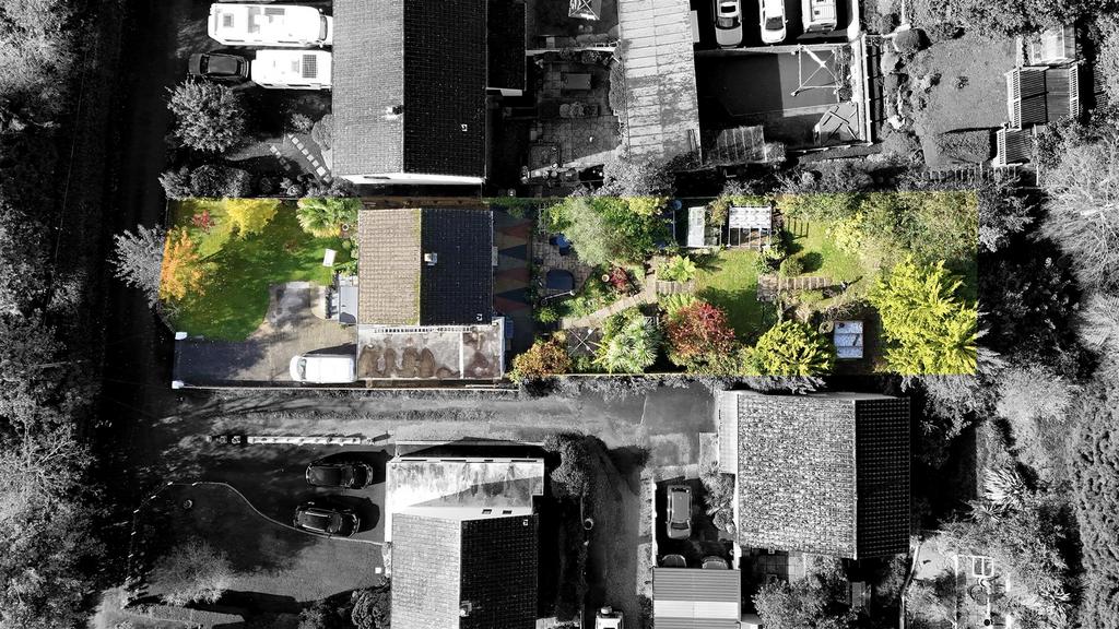 Birds Eye-5.jpg
