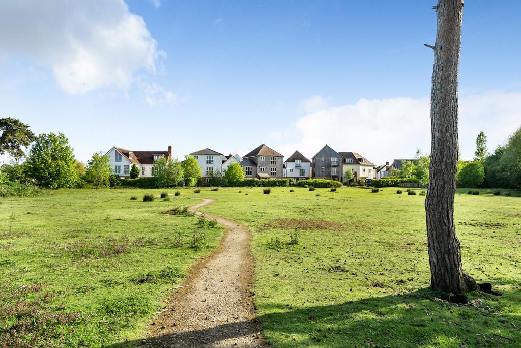 Communal Meadow