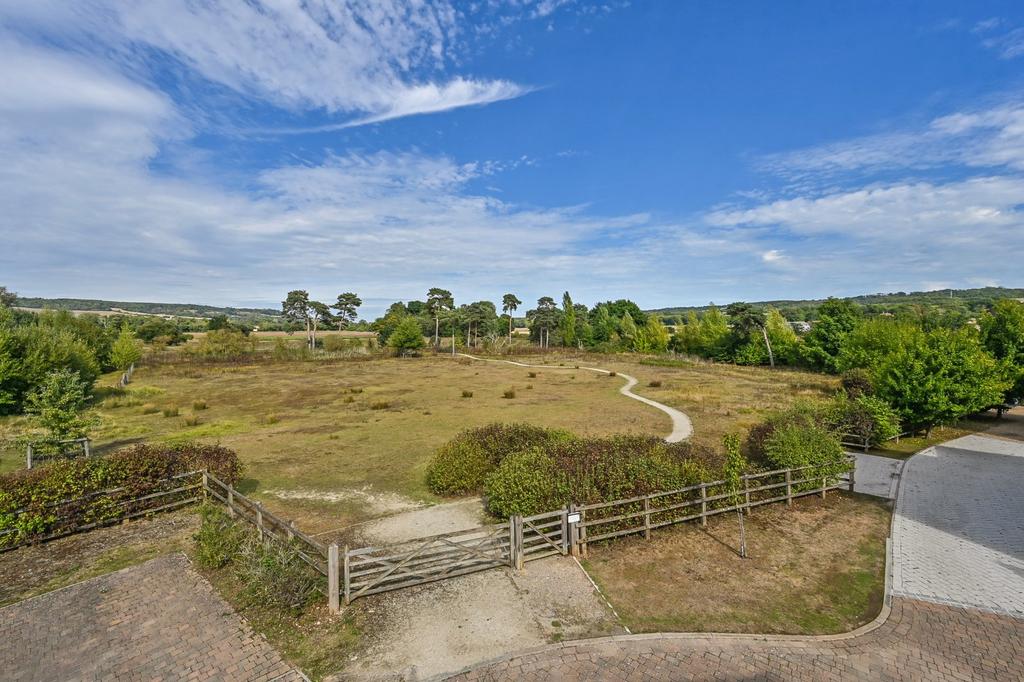 Communal Meadow
