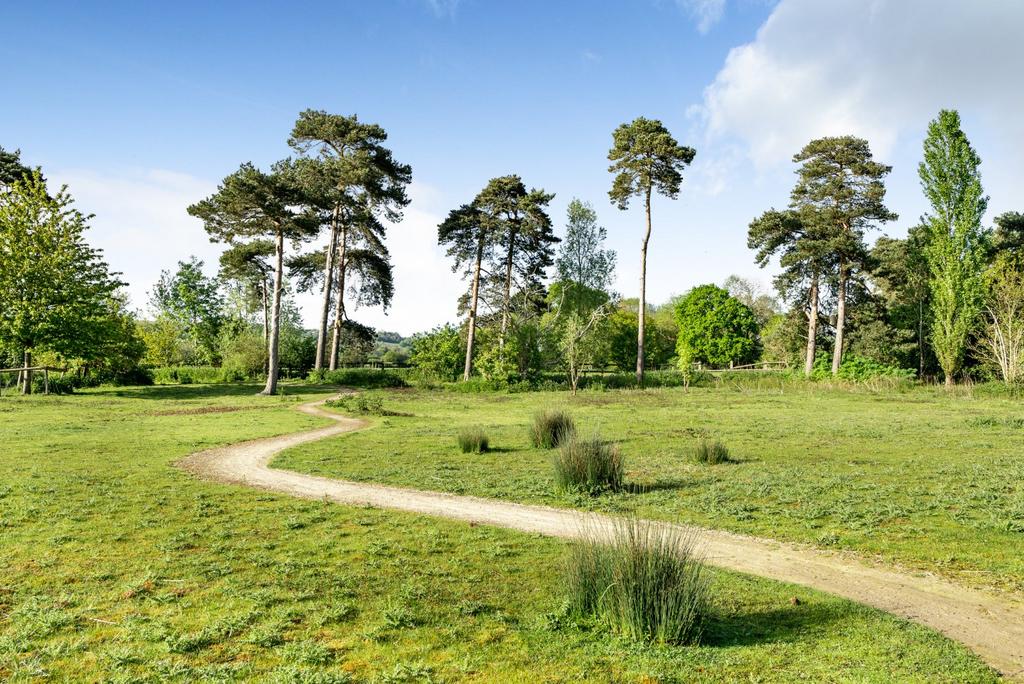 Communal Meadow