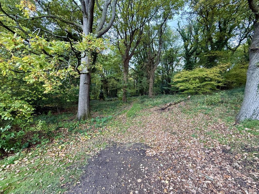 Woodland.jpg