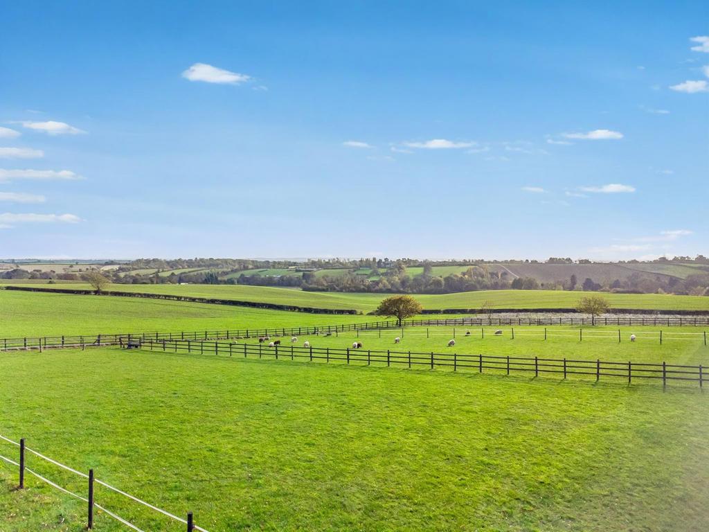 Views from Rear of Property