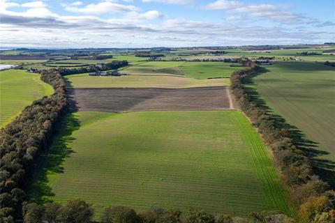 undefined, Whitehall Farm, Colliston, Arbroath, Angus, DD11