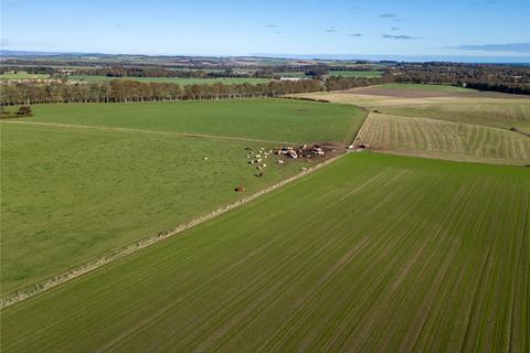 undefined, Whitehall Farm, Colliston, Arbroath, Angus, DD11