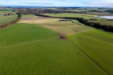 undefined, Whitehall Farm, Colliston, Arbroath, Angus, DD11