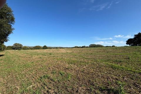 undefined, Willesborough Lees, Ashford, Kent, TN24