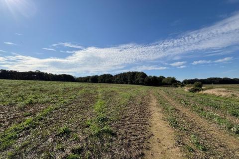 undefined, Willesborough Lees, Ashford, Kent, TN24