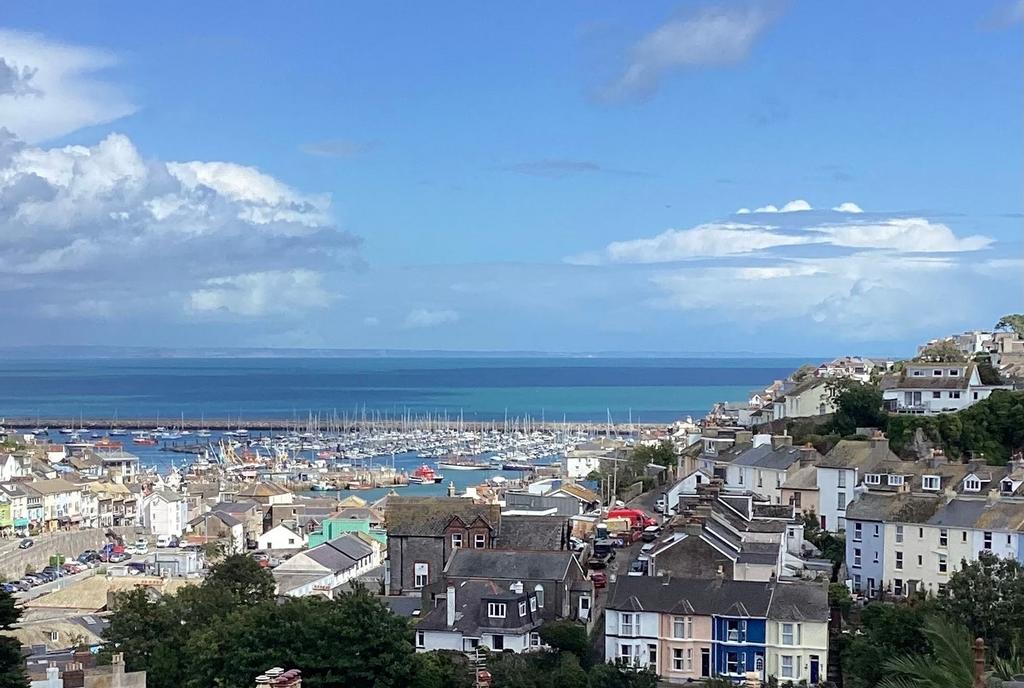 View Shot The Lookout, Brixham