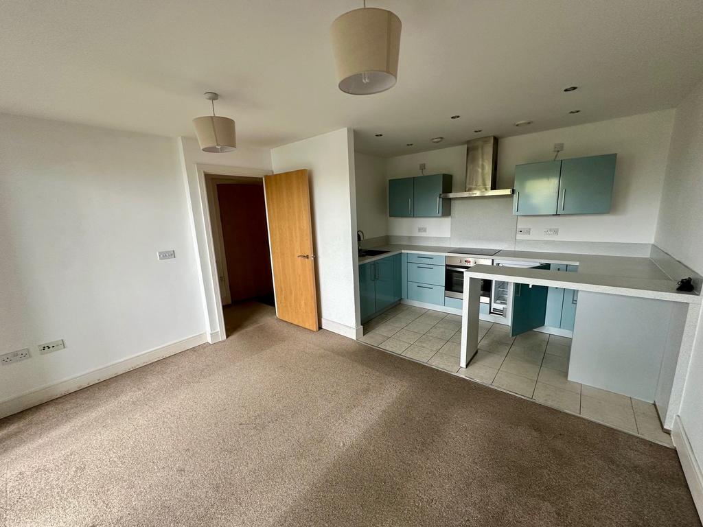 Kitchen and living r