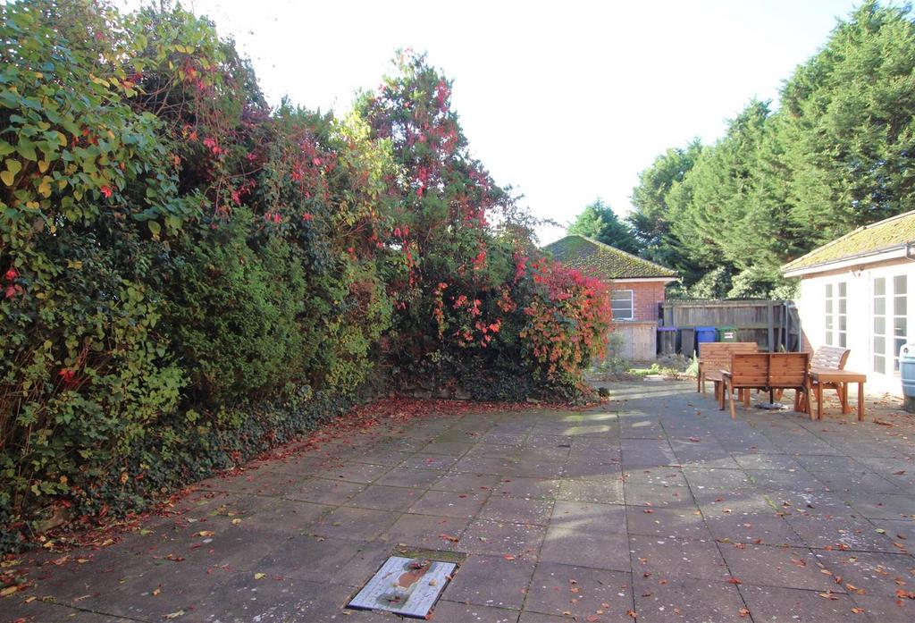 Rear Patio Area.JPG