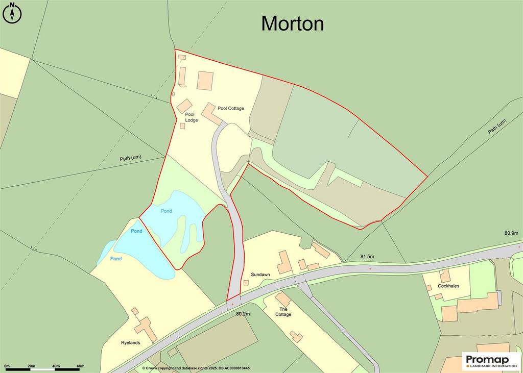 Promap-3337520-3434078.jpg