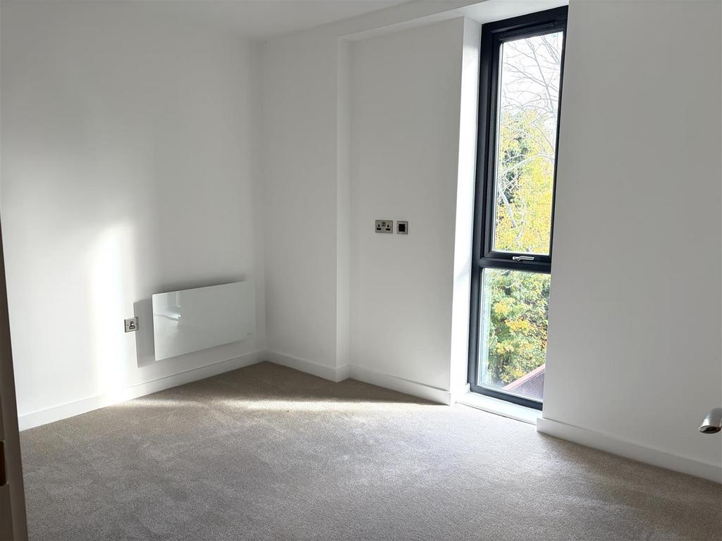 IMG 6782.jpeg