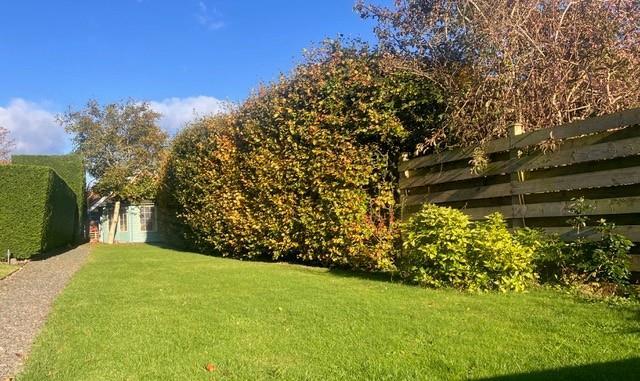 Garden 1.jpg