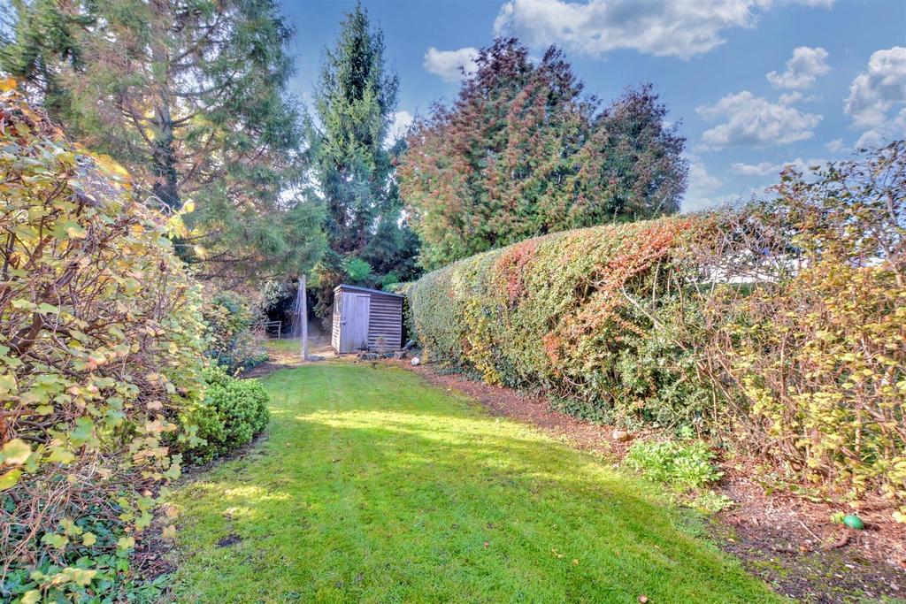 Garden 2.jpeg