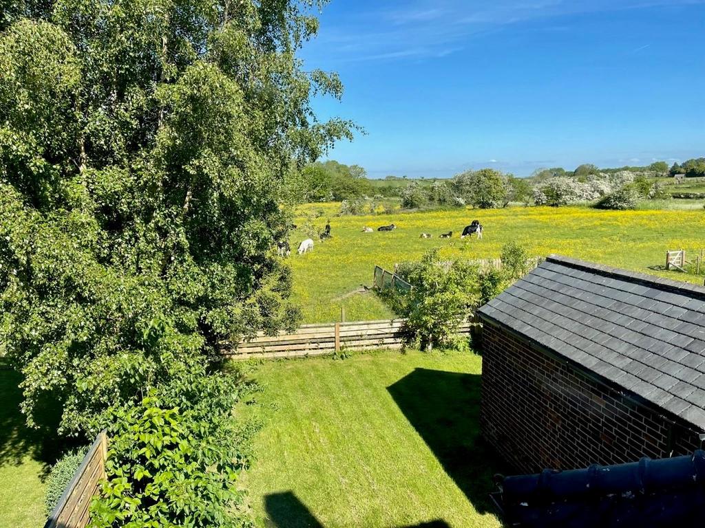 Rear garden.jpg