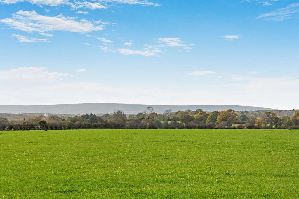 Countryside Views