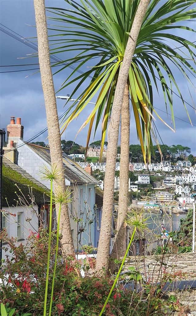 Front garden view cropped