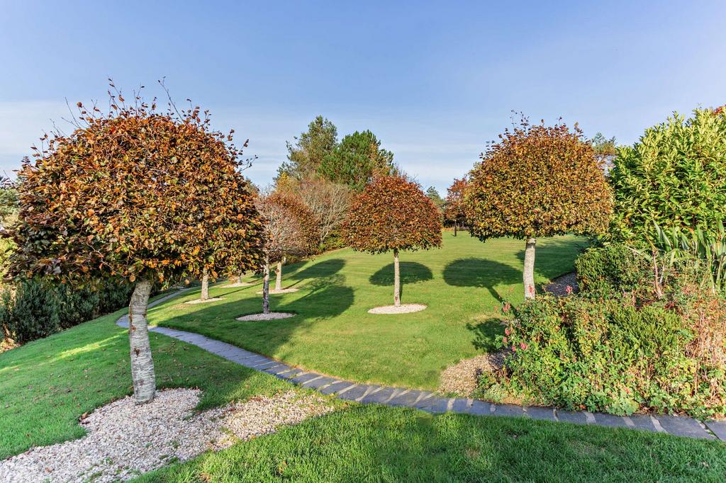 Carestown Steadings