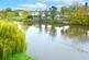 St. Julians Crescent, Shrewsbury photo 5