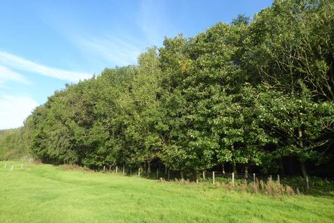 undefined, Chieftain Wood, Jedburgh, Scottish Borders TD8