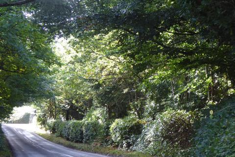 undefined, Chieftain Wood, Jedburgh, Scottish Borders TD8