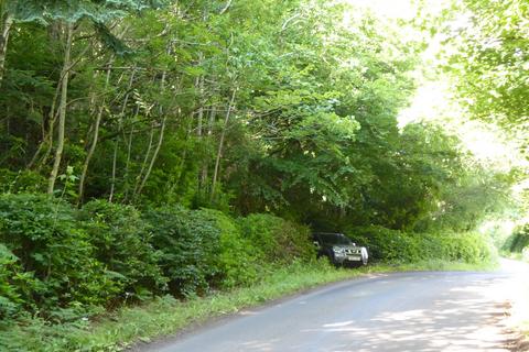 undefined, Chieftain Wood, Jedburgh, Scottish Borders TD8