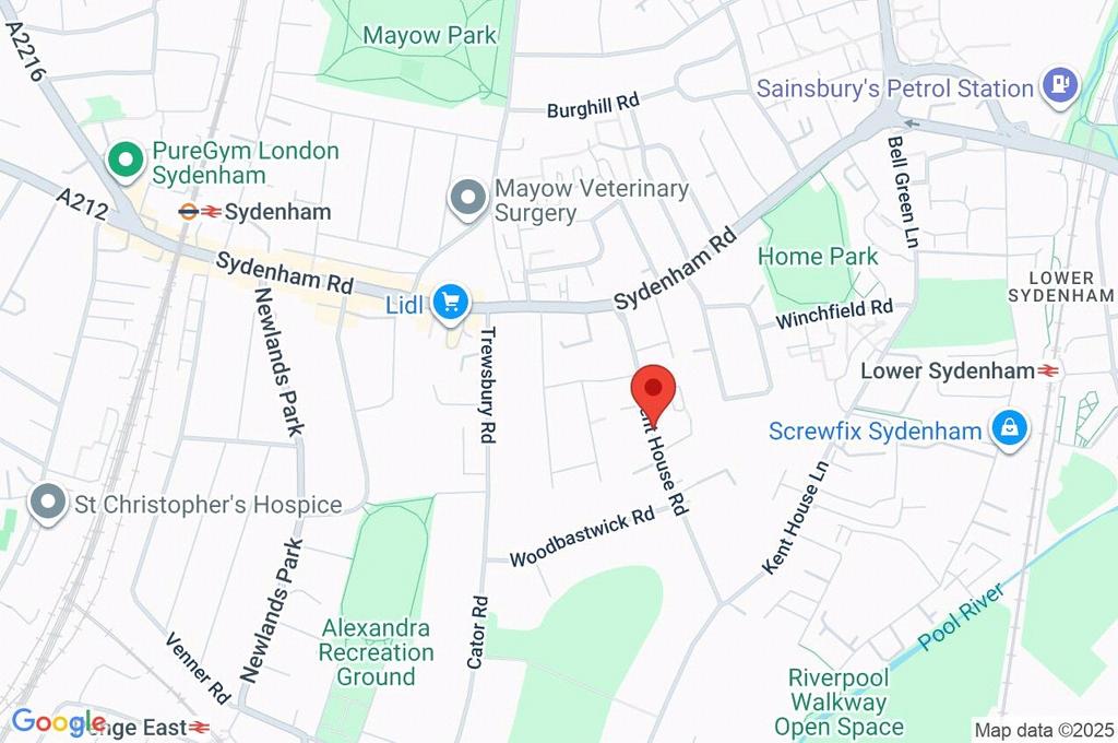 Google Maps Image