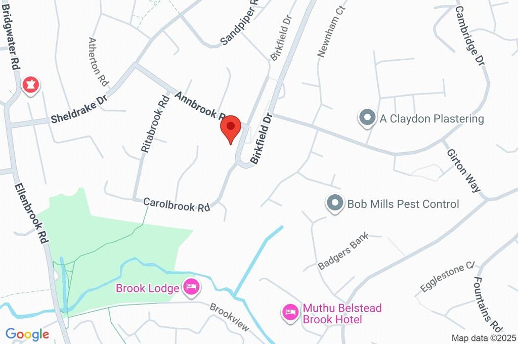 Google Maps Image