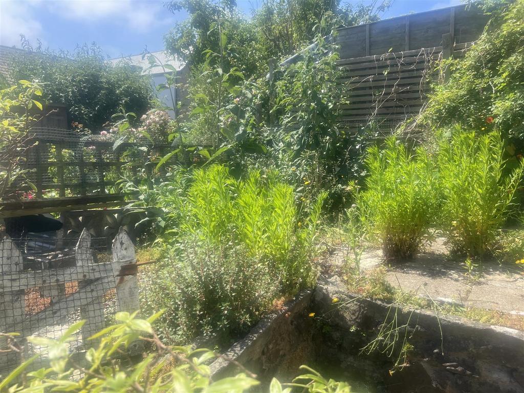 Garden1.jpg